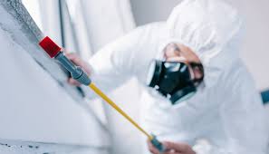 Best Real Estate Pest Inspections  in Ampere North, NJ